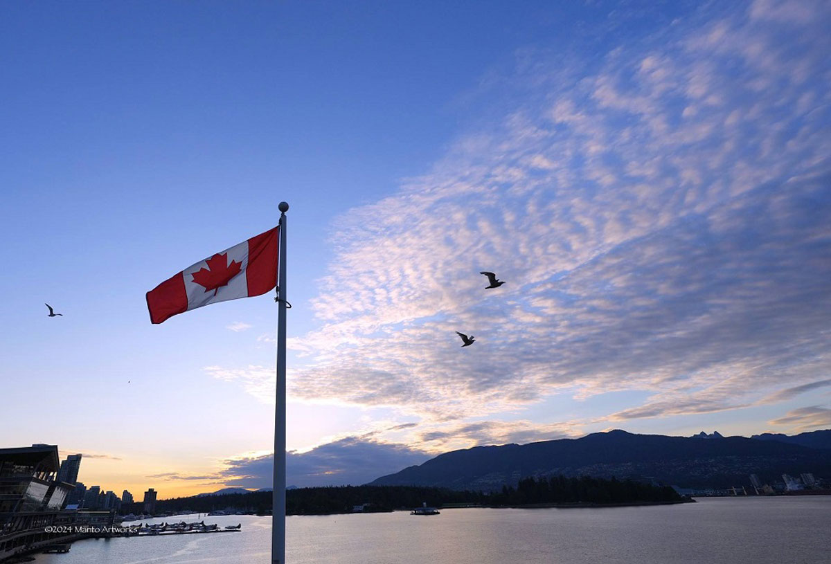 「Seagulls & Canadian Flag」Manto Artworks