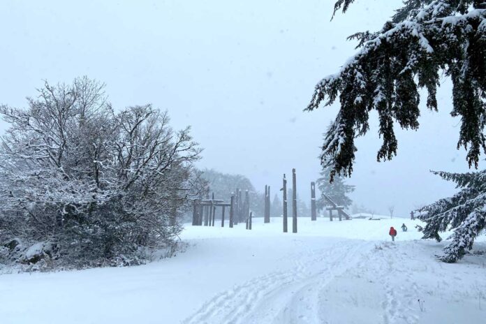 雪に覆われたバーナビー・マウンテン。ソリ遊びを楽しむ人々も見られた。2025年2月2日。Photo by Japan Canada Today